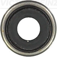 703620400 Victor Reinz