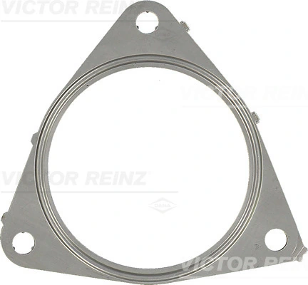 711246900 Victor Reinz