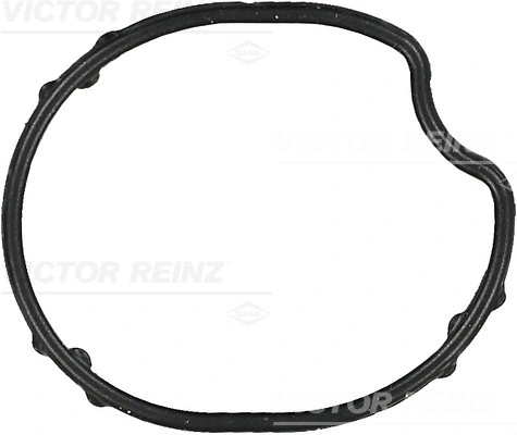 713657700 Victor Reinz