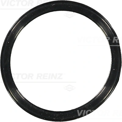 703658300 Victor Reinz