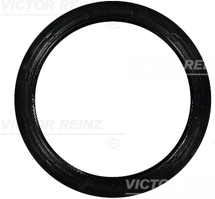 813761100 Victor Reinz