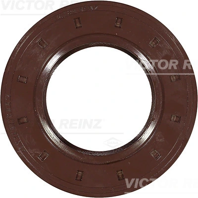 811732820 Victor Reinz