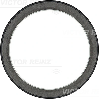 813619700 Victor Reinz