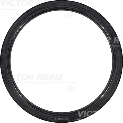 813380100 Victor Reinz