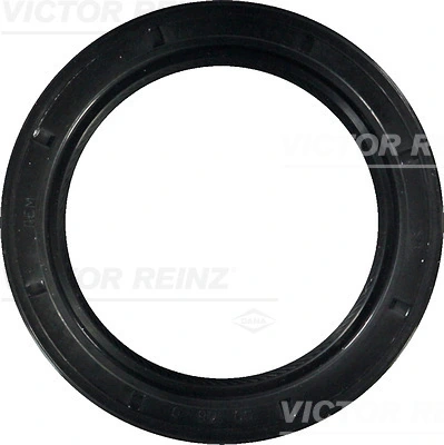 815342600 Victor Reinz