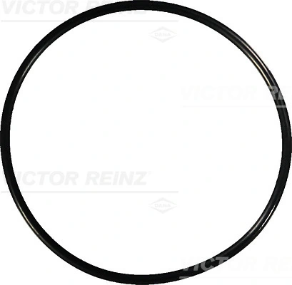 407674100 Victor Reinz