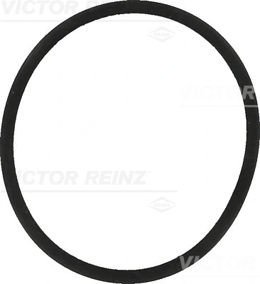 407755700 Victor Reinz