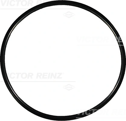 407696400 Victor Reinz