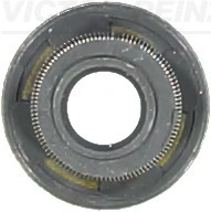 705407200 Victor Reinz