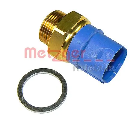 0915223 Metzger