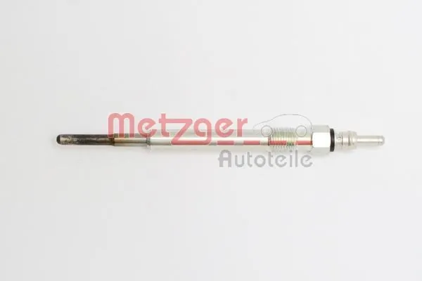 H1961 Metzger