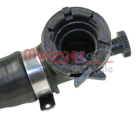 2420389 Metzger