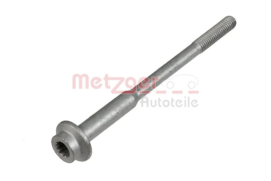 0873031 Metzger