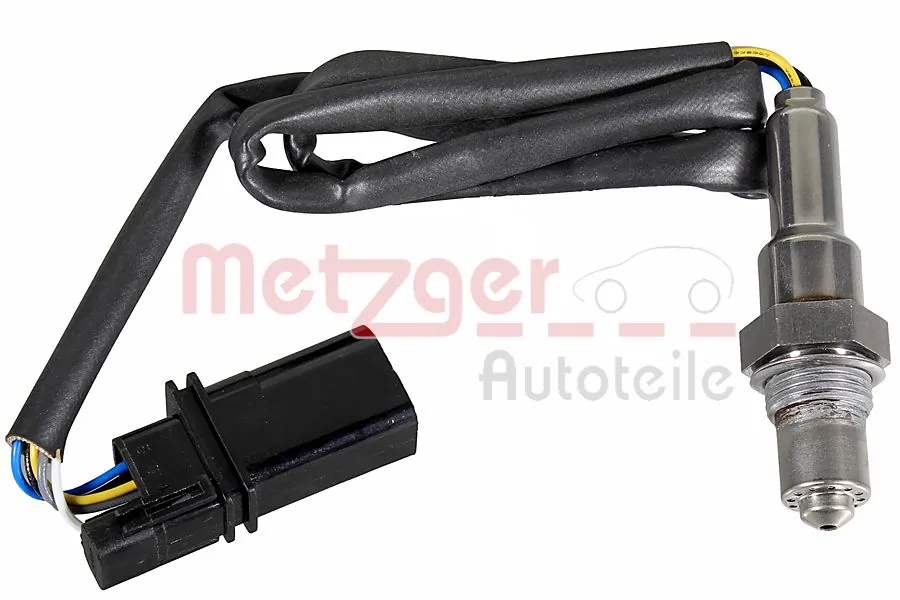 0895655 Metzger