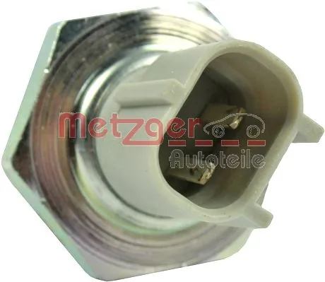 0912099 Metzger