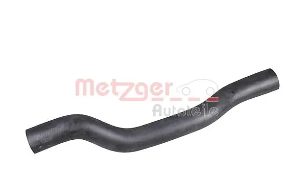 2421068 Metzger