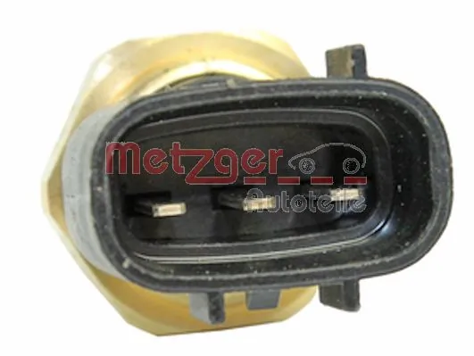 0915267 Metzger