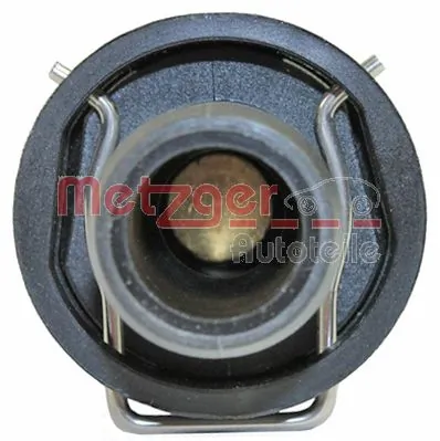 4006221 Metzger