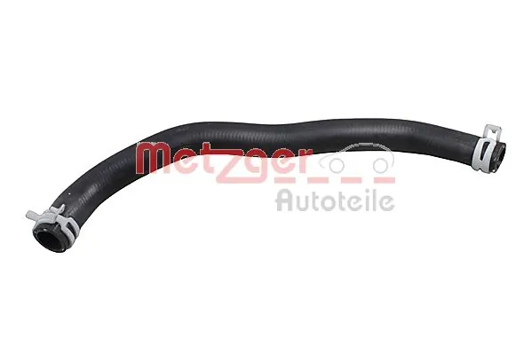 2421321 Metzger