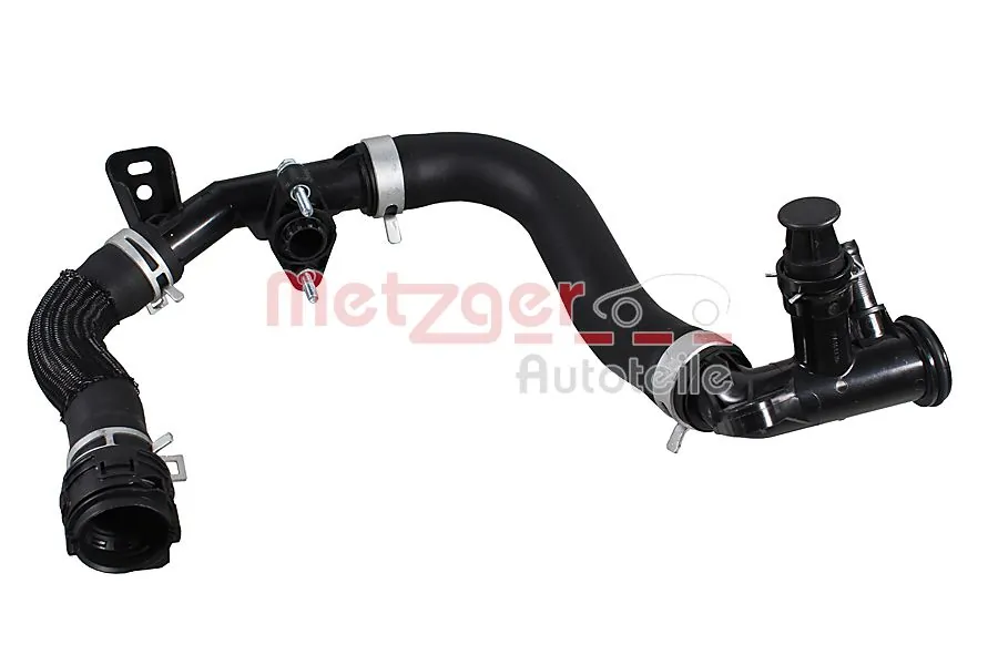 2421683 Metzger