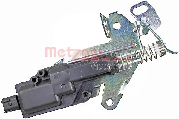 2317021 Metzger