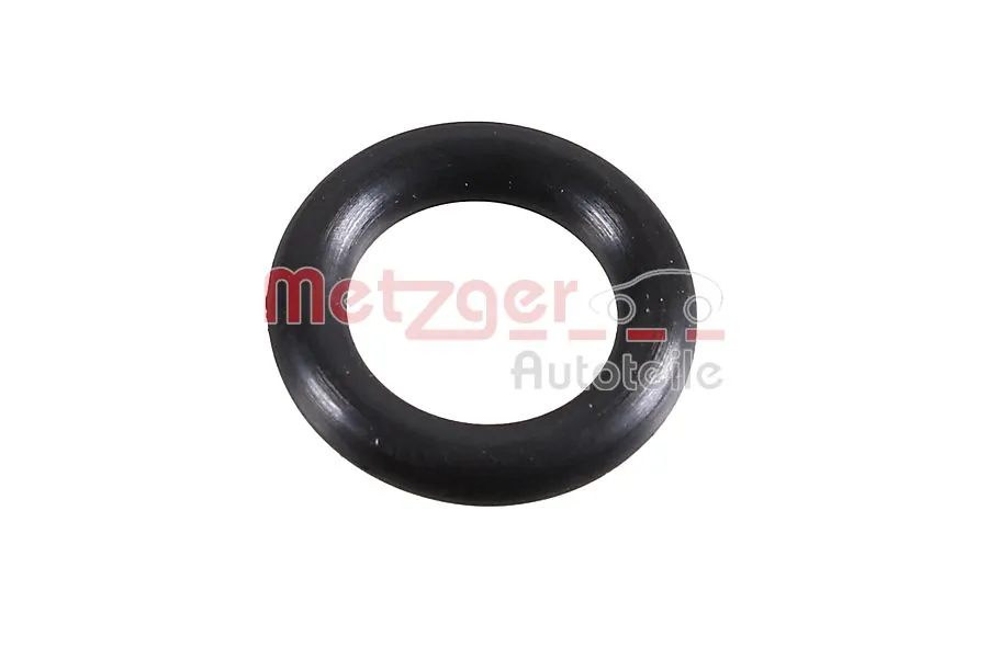 2430121 Metzger
