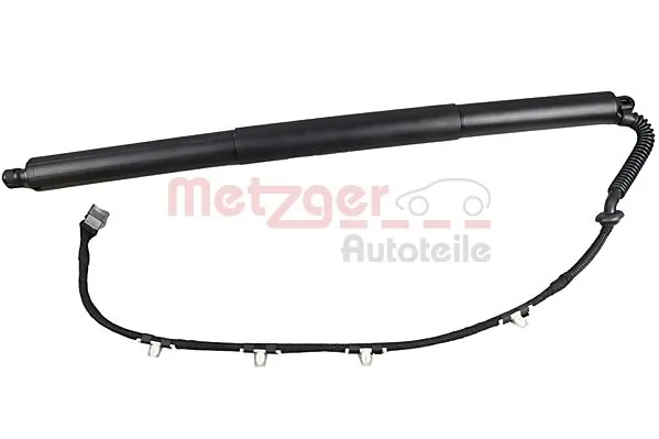 2115003 Metzger