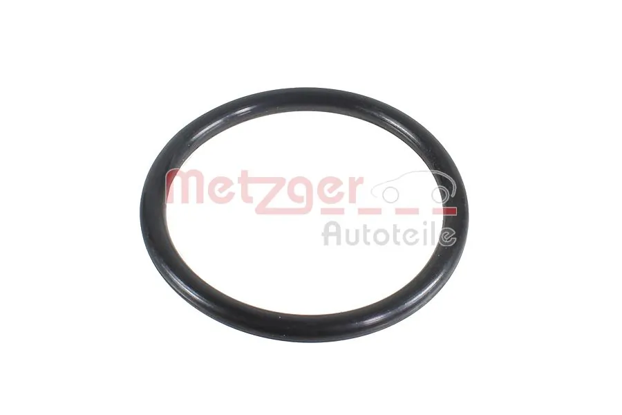 2430113 Metzger