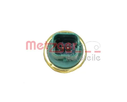 0905083 Metzger