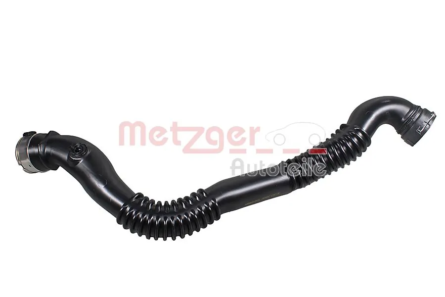 2401262 Metzger