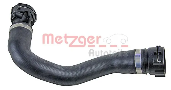 2420784 Metzger