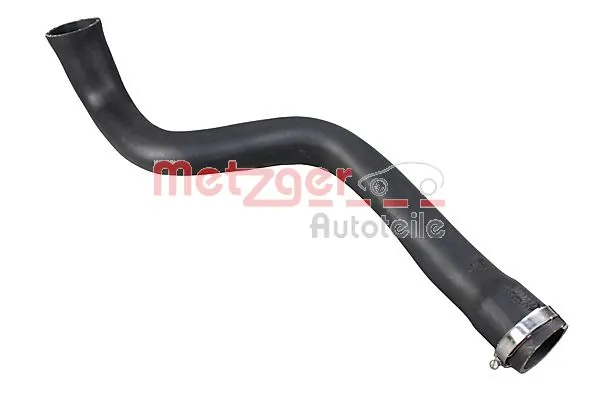 2400976 Metzger
