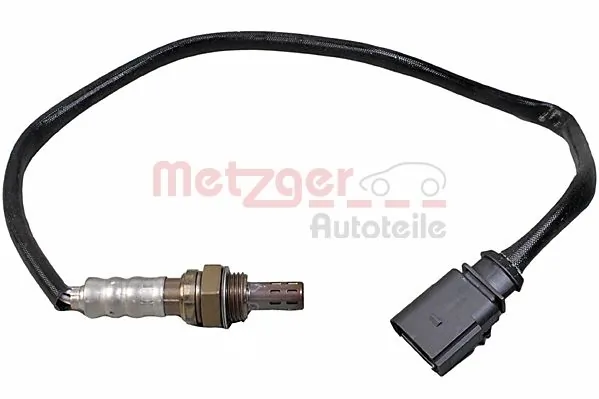 0895513 Metzger