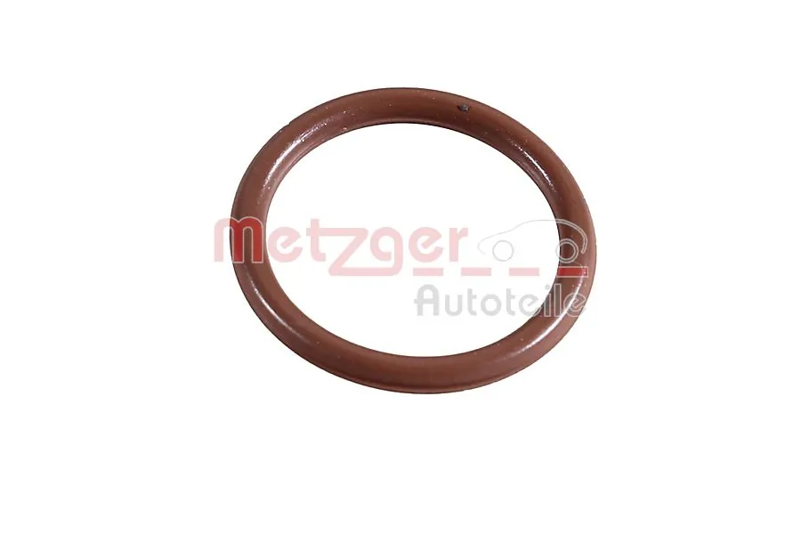 2430114 Metzger
