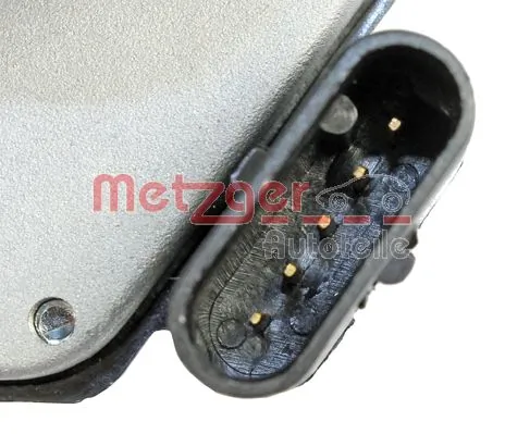 0892426 Metzger Mariposa de admisión