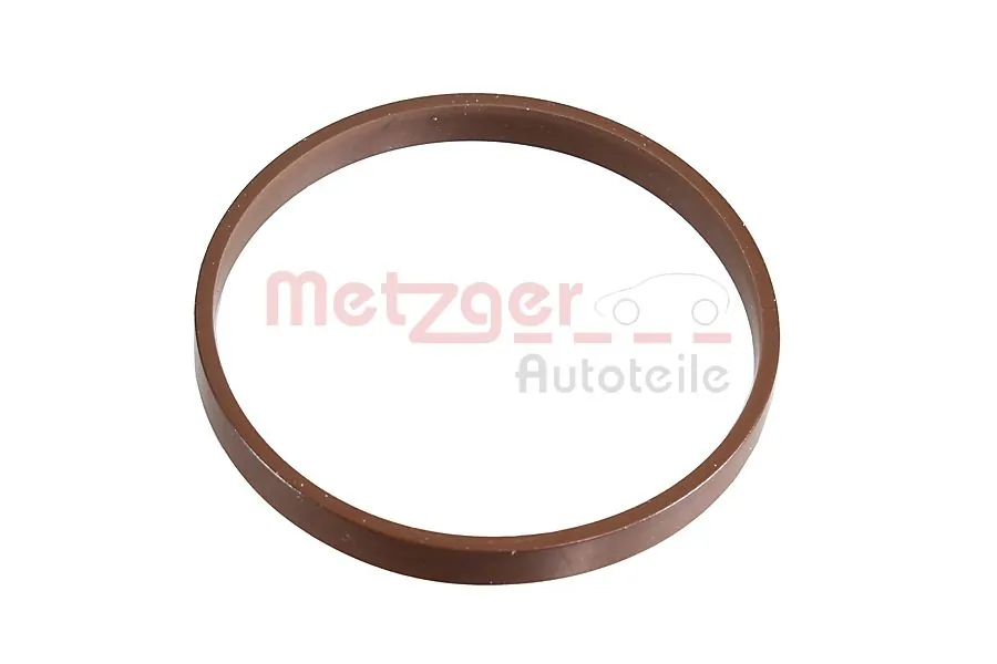 2430093 Metzger