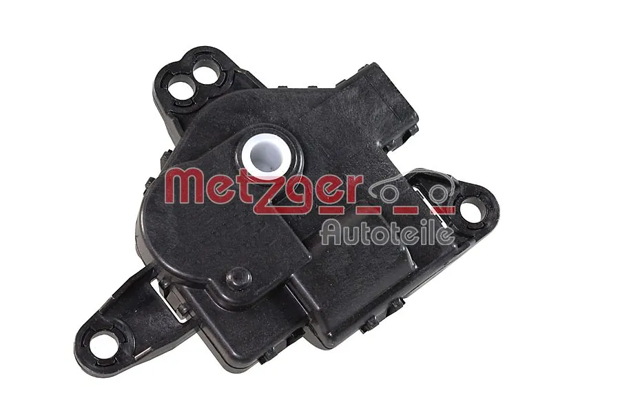 0917474 Metzger