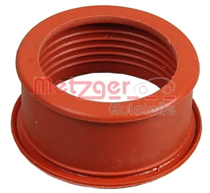 2389006 Metzger