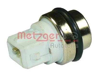 0915045 Metzger