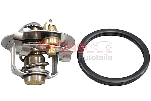 Comprar 3916972 Ford Termostato