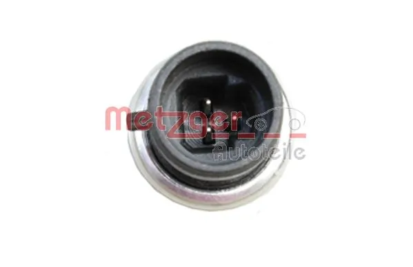 0917056 Metzger