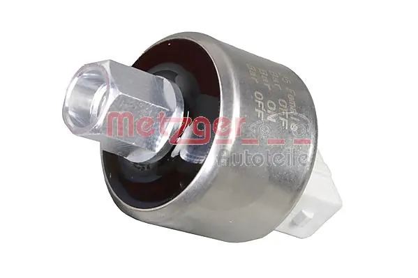 0917442 Metzger