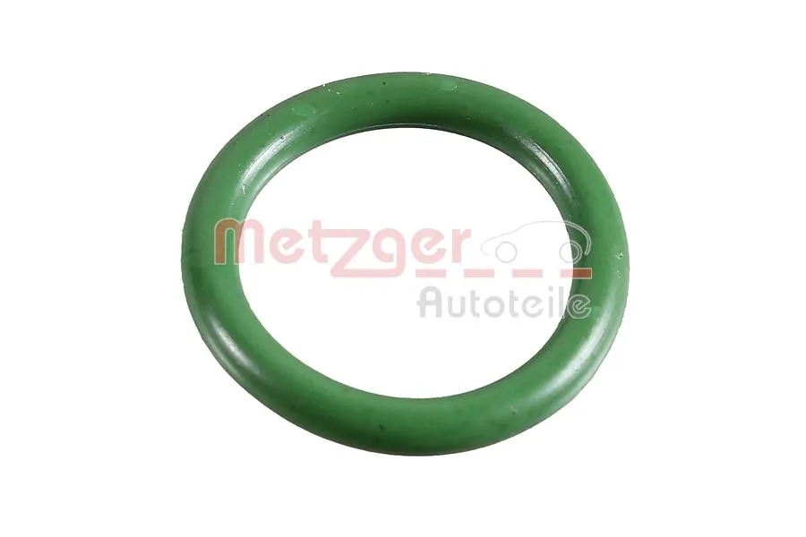 2430090 Metzger