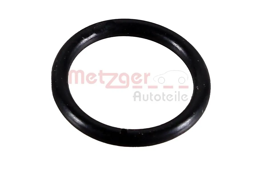 2430022 Metzger