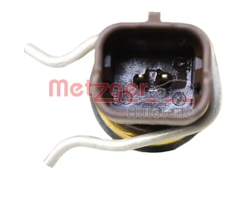 0905477 Metzger
