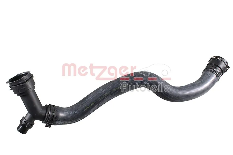 2421665 Metzger