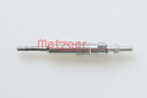 H1393 Metzger