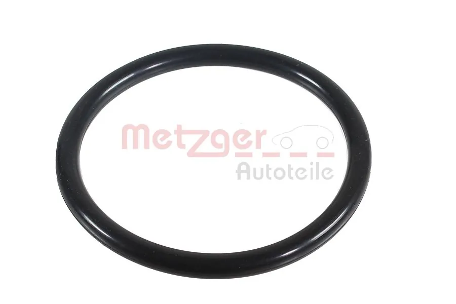 2430128 Metzger