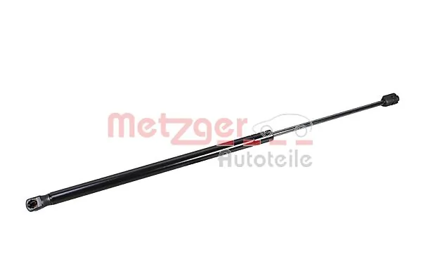 2110743 Metzger