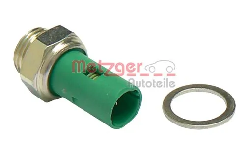 0910029 Metzger